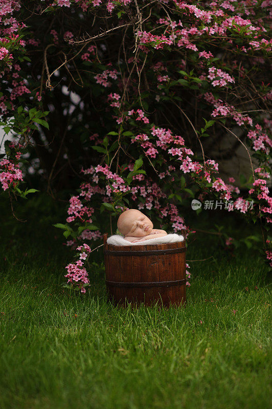 新生婴儿睡在开花树旁