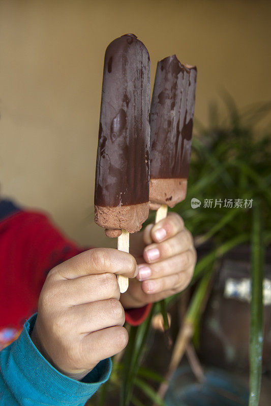 放在棍子上的冰淇淋