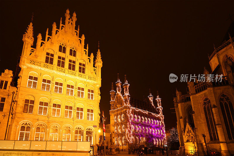 比利时鲁汶市市政厅和老城建筑