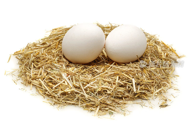 有机白色蛋在干草巢