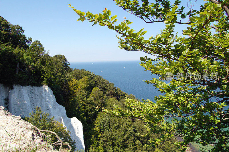 春天鲁根岛(德国)的白色白垩岩