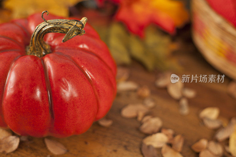 感恩节的中心装饰品有秋南瓜、花卉装饰。