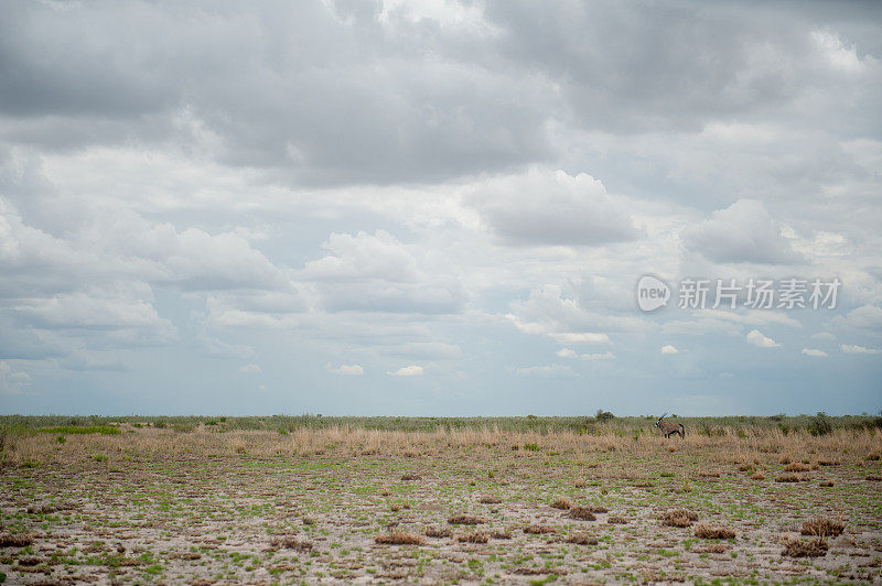 博茨瓦纳的风景