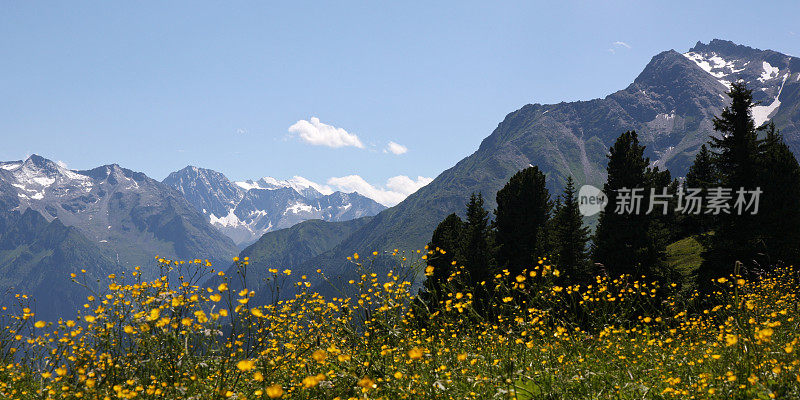 夏日美景，奥地利的齐勒塔勒阿尔卑斯以雪山为背景