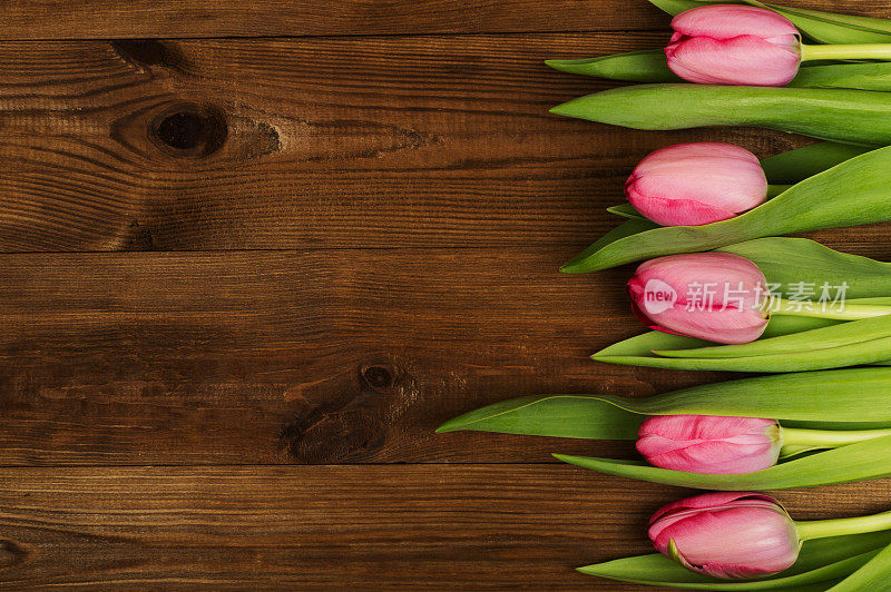 木质背景上的粉色郁金香。母亲节。春天的花朵