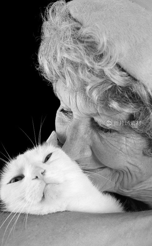 一位老妇人很爱她的猫