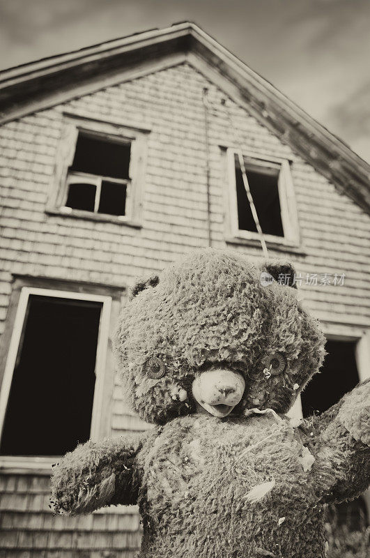 令人毛骨悚然的Teddybear