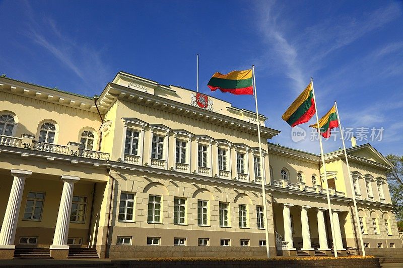 在维尔纽斯总统府和立陶宛国旗，立陶宛