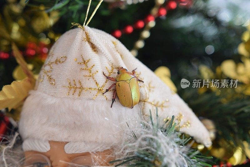 金色圣诞甲虫