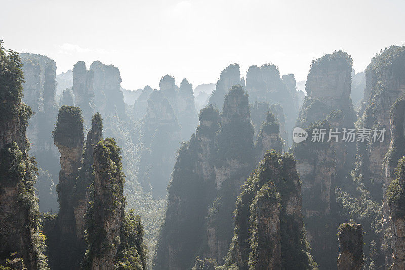 砂岩柱，张家界国家森林公园，中国