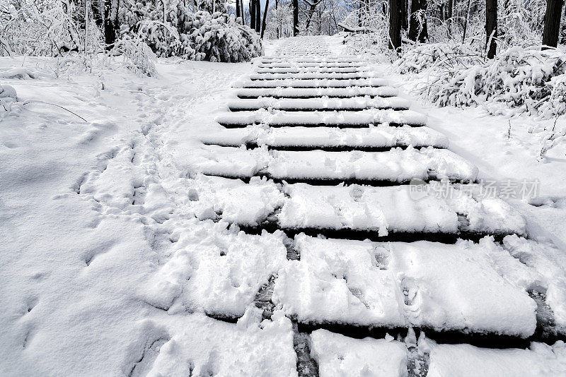 楼梯在冬天的森林降雪后