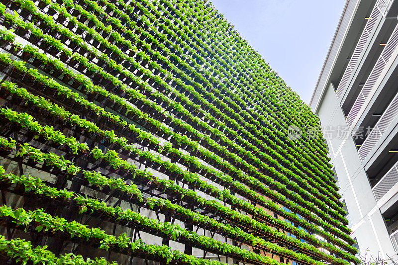 垂直花园-绿墙-生物墙