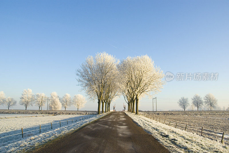 荷兰风景:冬季铁路过境