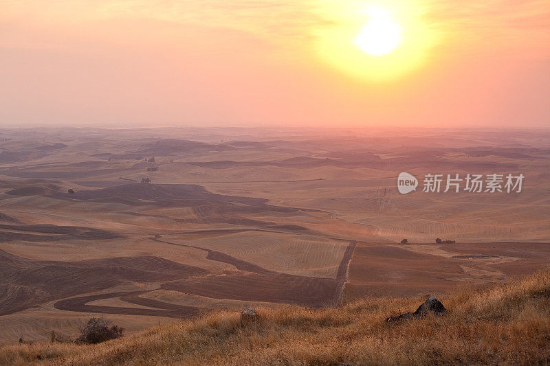 草原风景