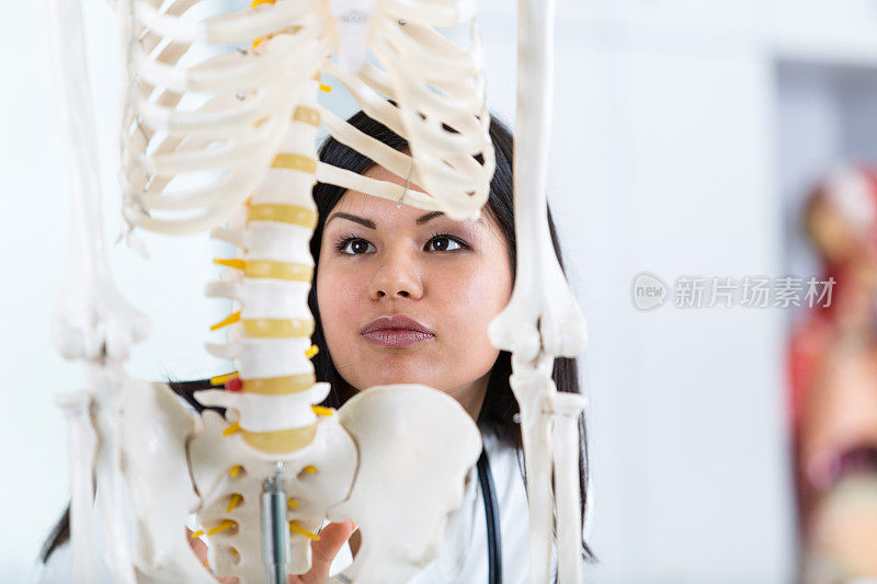 学生在看人体骨骼