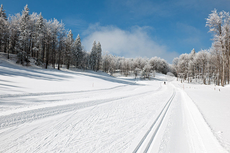 欧洲沃伊斯科斯洛文尼亚越野滑雪