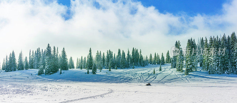 在科罗拉多州的雪地