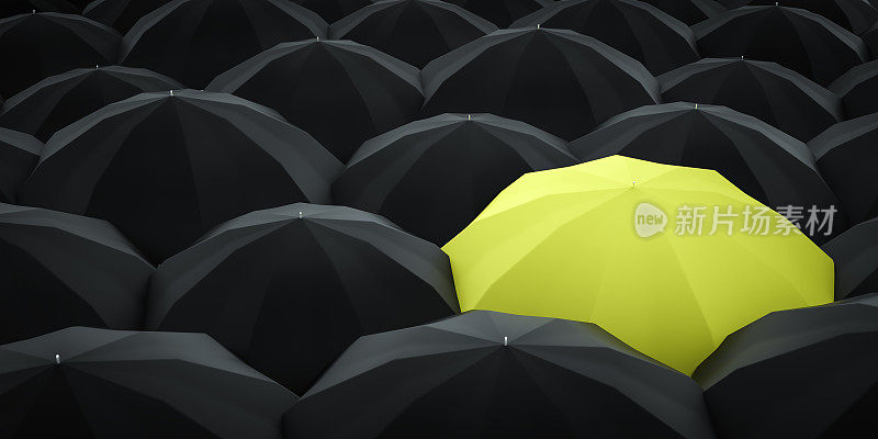 众多深色雨伞中独一无二的黄色雨伞。
