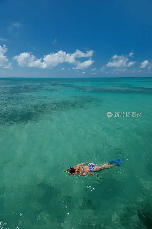 在热带加勒比干托图加斯海域浮潜