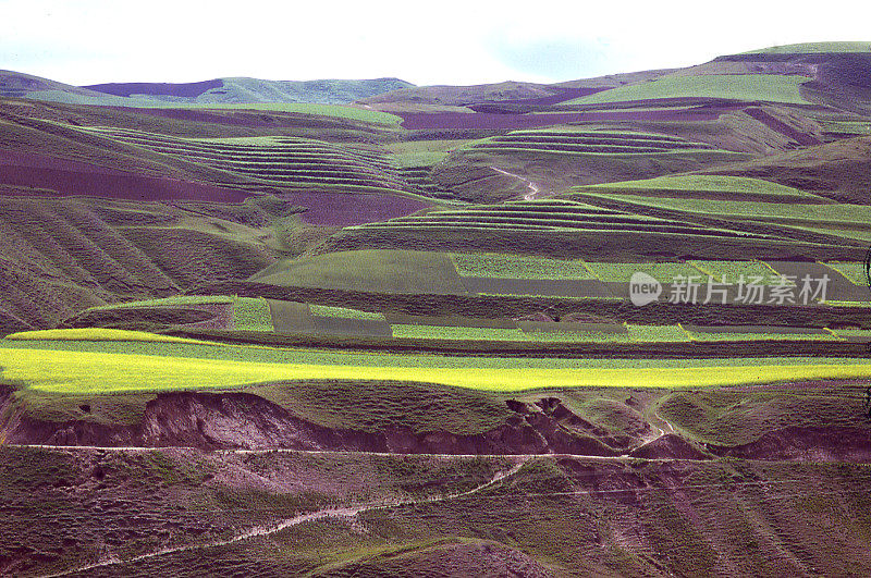 中国内蒙古黄土高原的梯田和农田