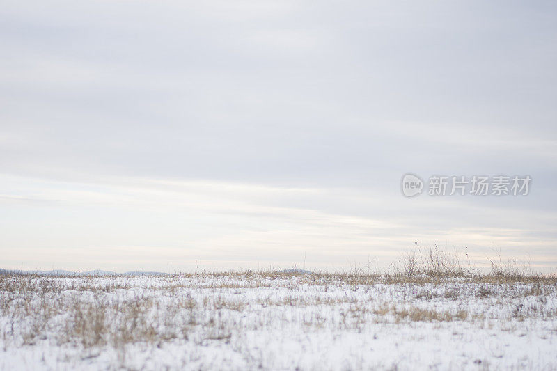 下雪的冬天的风景