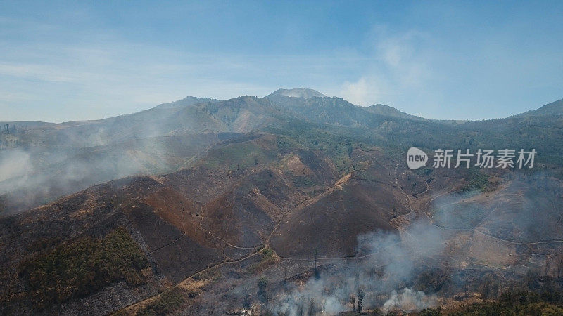 森林火灾。Jawa岛、印度尼西亚