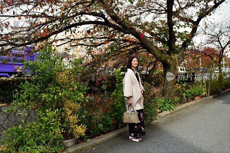 穿着和服的日本妇女行走在京都加茂河畔