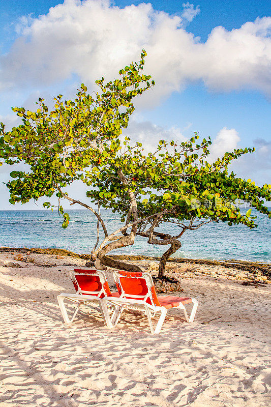 古巴海滩上的日出，两张空椅子。