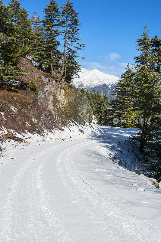 覆盖着积雪的乡村道路