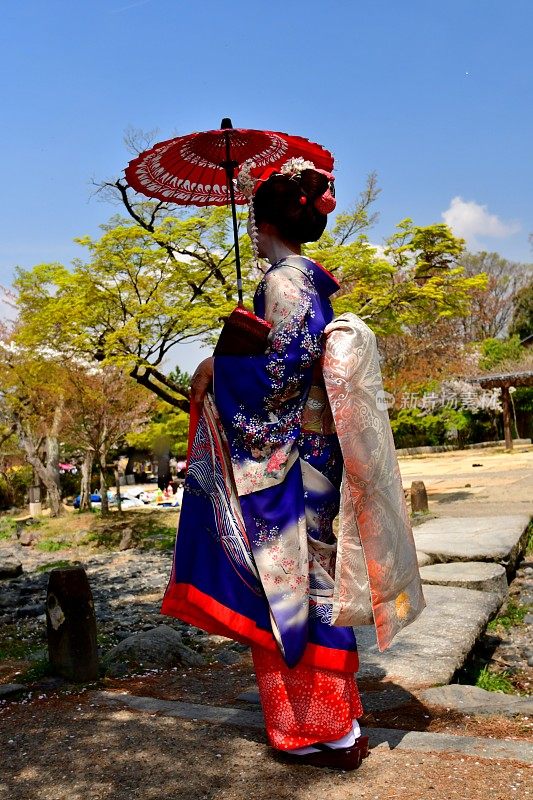 穿着舞子服装的日本女人享受京都的春天