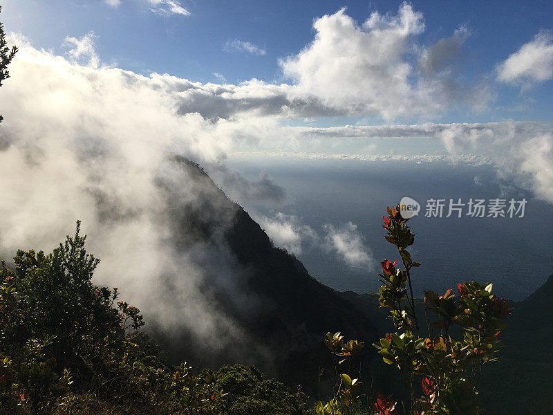 夏威夷考艾岛多云的日子里的卡拉劳山谷。