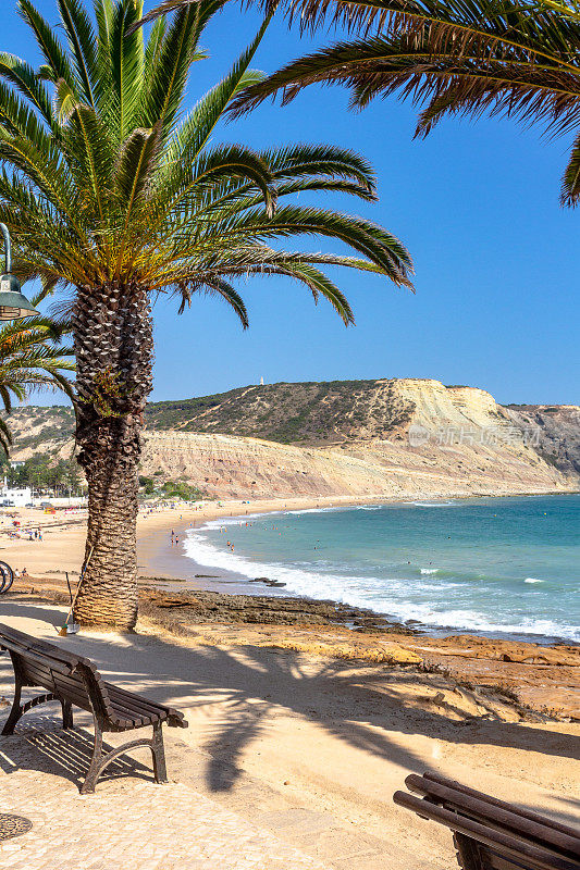 葡萄牙拉各斯卢茨海滩附近的长椅和棕榈树