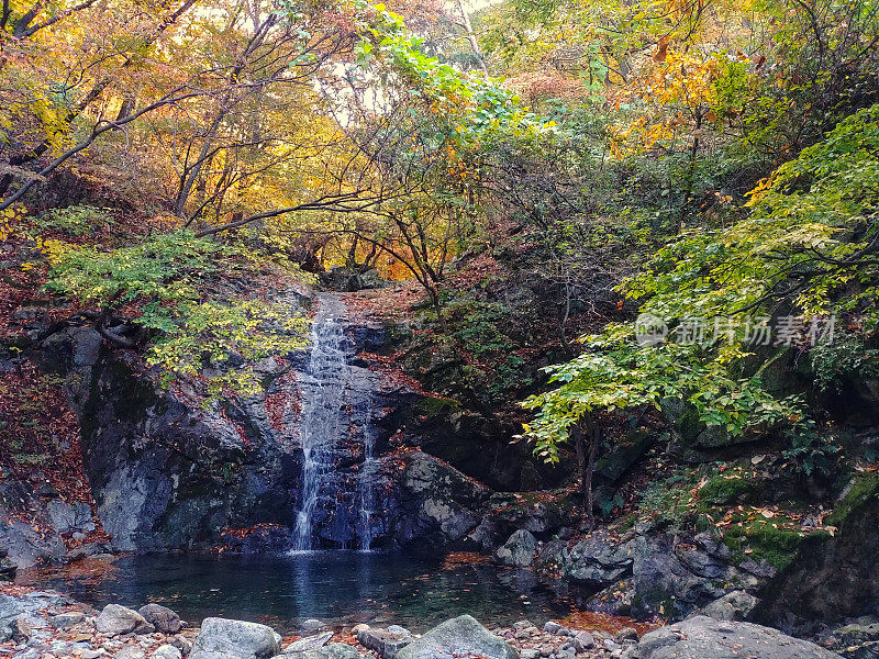 VD715韩国Gabsa的秋景