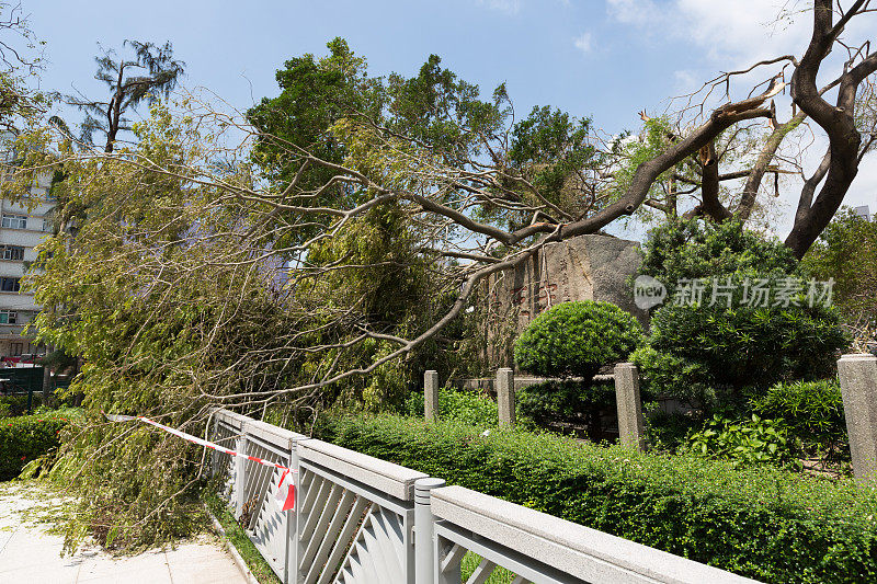 超级台风“山竹”抵达香港