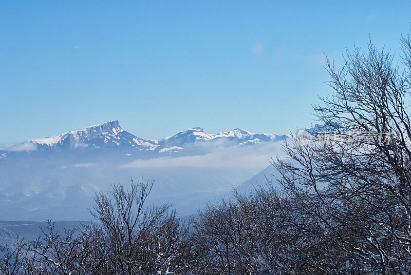 群山的全景。前景是被白雪覆盖的树枝，背景是清澈的蓝天。拉各斯纳基，主要的高加索山脉，俄罗斯