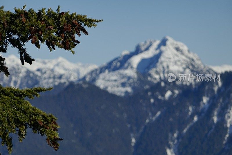 不列颠哥伦比亚省沿海山脉抽象