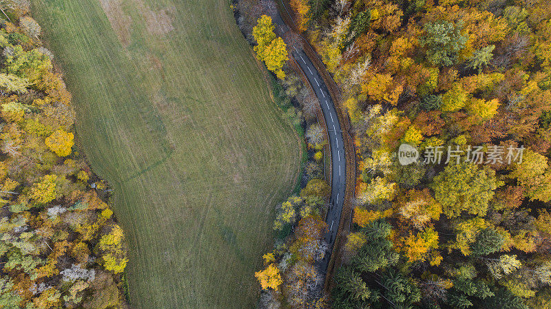 穿越秋天森林的道路-鸟瞰图