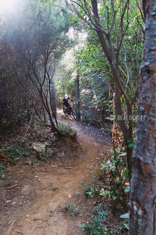 一对年轻夫妇在克罗地亚的森林里骑山地自行车