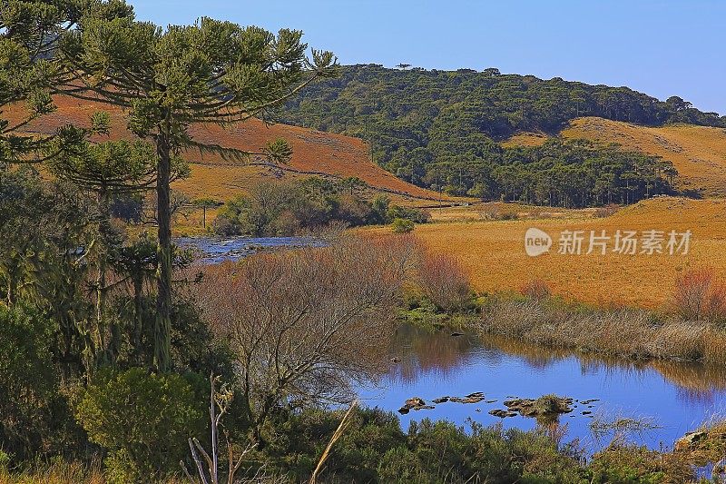 巴西南格兰德格兰多附近的河流和乡村公路