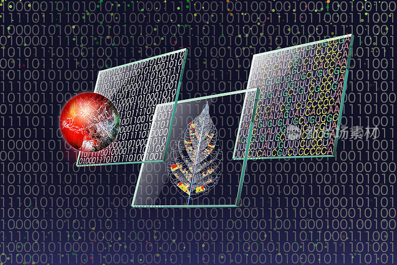 基因工程和DNA微阵列图像。二进制编码、静脉编码和mRNA碱基编码显示在透明晶片屏幕上。细胞或分子是漂浮的。