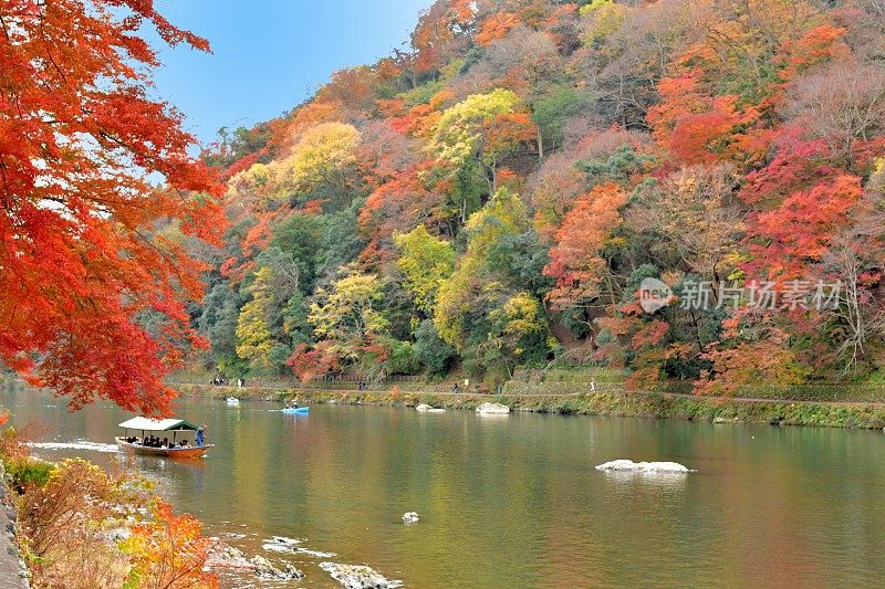 日本京都岚山地区秋叶颜色