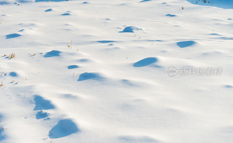 白雪背景的特写