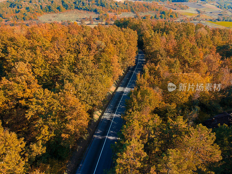 无人机:空中公路旅行-秋天的森林与弯曲的道路