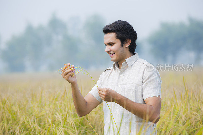 年轻的印度农民在农业领域的股票照片