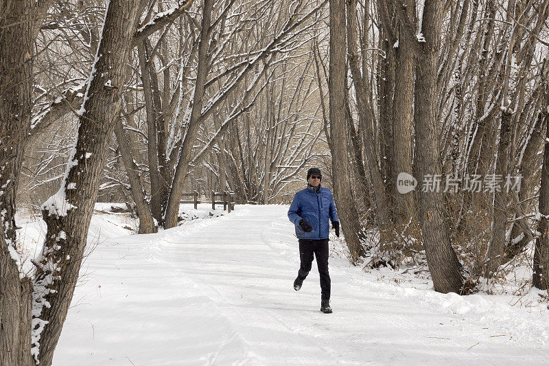 男人冬天跑步雪树排列的道路丹佛科罗拉多州