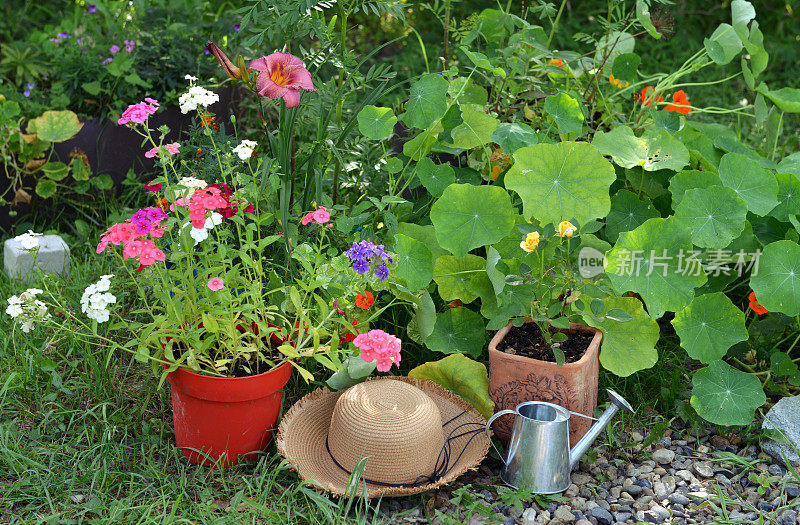 花园花坛有旱金莲花和夹竹桃花，草帽和喷壶。