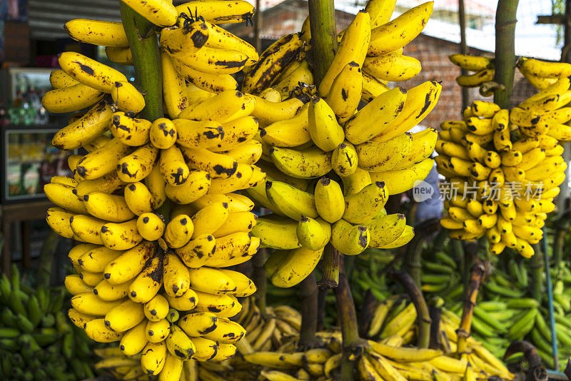 厄瓜多尔瓜亚基尔市路上的小卖部提供香蕉
