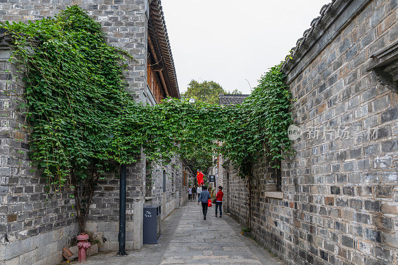 老门东步行街的小巷子。墙上和小巷对面的植物