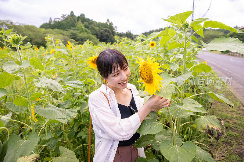 一个年轻女子在农场里看着向日葵