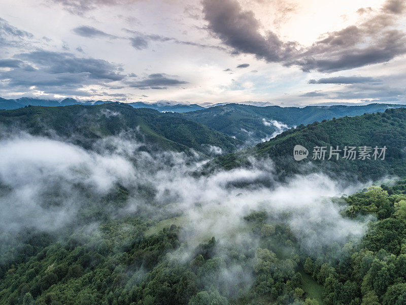 鸟瞰春天茂密的绿林。保加利亚的山脉在多云的大雾天